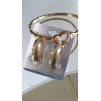 Bangles/creolen goud rvs