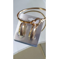 Bangles/creolen goud rvs