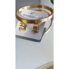 Bangles/creolen goud rvs