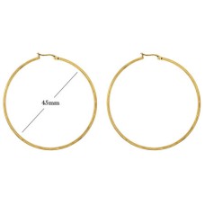 Statement Oorbellen - Stainless Steel Hoop Earrings - goud