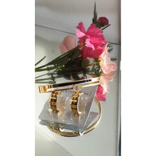 Bangles/creolen goud rvs
