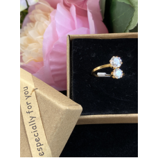 Edelstaal Ringen goudkleurig dubbel zirkonia. Edelstaal Ringen goudkleurig dubbel zirkonia.